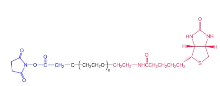 NHS-PEG-Biotin