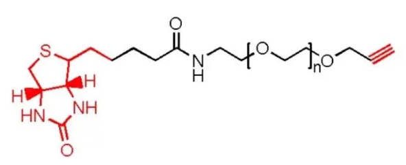 Biotin-PEG-Alkyne