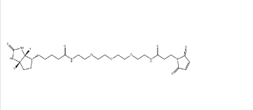 1431618-70-0；Biotin-PEG3-Mal小分子PEG；生物素-PEG3-马来酰胺