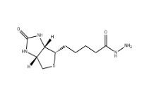 66640-86-6；Biotin hydrazide小分子PEG       生物素酰肼