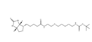 175885-18-4；Biotin-PEG2-NH-Boc小分子PEG