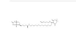 1802907-93-2,DdeBiotin-PEG4-N3，DDE-生物素-PEG4-叠氮