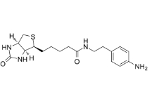 769933-15-5           Biotin-aniline，98%，25mg	生物素-苯胺	