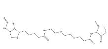 596820-83-6           9-BiotinlaMino-4,7-dioxanonanoic acid N-hydroxysucciniMidyl ester           	(+)-生物素-PEG2-NHS酯	