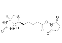 35013-72-0|生物素琥珀酰亚胺酯|NHS-biotin
