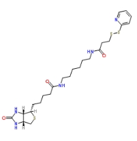 129179-83-5             Biotin HPDP	N-(6-[生物素胺]己基)- 3-(2-吡啶二硫) 丙酰胺	