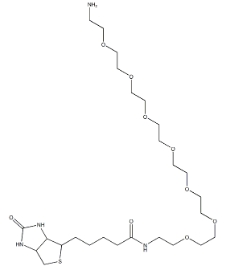 1334172-76-7,Biotin-PEG7-NH2