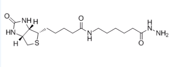 (+)-生物素胺己酰肼；109276-34-8；Biotin LC hydrazide