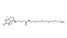 CAS号： 663171-32-2             Biotin-PEG4-Amine