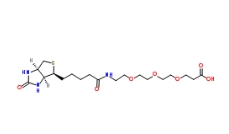 CAS号：252881-76-8 ；Biotin-PEG3-COOH； Biotin-PEG3-prop