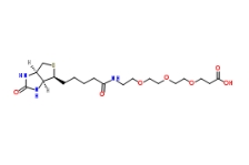 CAS号：252881-76-8；Biotin-PEG3-acid