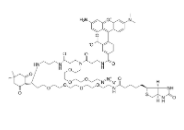   Dde TAMRA 生物素疊氮化物  