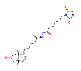 生物素-马来酰亚胺；116919-18-7；BIOTIN-MALEIMIDE