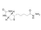 Biotin Hydrazide  