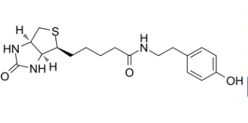 生物素基酪氨酰胺；41994-02-9；Biotinyl tyramide