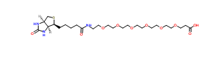 生物素-六聚乙二醇-羧酸；1352814-10-8；Biotin-PEG6-acid