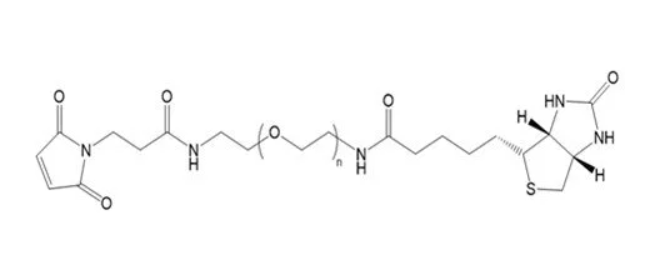 生物素聚乙二醇馬來酰亞胺  