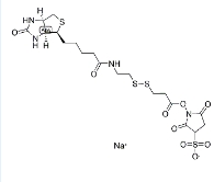 NHS-SS-biotin  122266-55-1 生物素-二硫键-琥珀酰亚胺酯