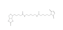 Biotin-PEG-MAL,生物素PEG马来酰亚胺,反应基团:巯基/链霉亲和素