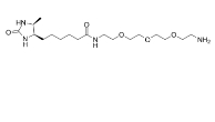Amine-PEG3-Desthiobiotin 2237234-71-6 氨基-四聚乙二醇-脱硫生物素
