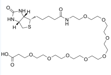 2143964-62-7；Biotin-PEG8-acid；齊岳生物