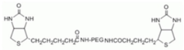 4-arm-PEG-Biotin  