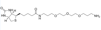 1374658-86-2；Biotin-PEG3-C3-NH2