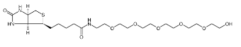 906099-89-6；Biotin-PEG6-alcohol