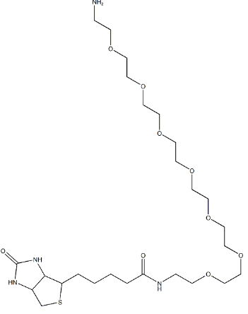 生物素-八聚乙二醇-氨基；1334172-76-7；Biotin-PEG7-Amine
