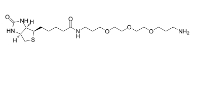 Biotin-PEG3-(CH2)3-NH2 TFA salt  1374658-86-2