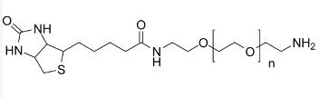 Biotin-PEG23-胺；604786-74-5；Biotin-PEG23-amine