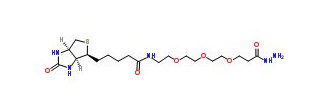 Biotin-PEG3-propionic hydrazide 