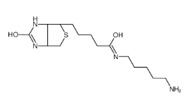 115416-38-1；Biotin-NH2，Biotin-amine；生物素-氨基	