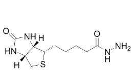 66640-86-6；Biotin hydrazide，生物素酰肼		