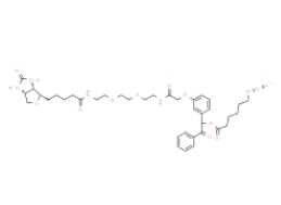 1654739-36-2	，UV Cleavable Biotin-PEG2-Azide,紫外可分解 生物素-二聚乙二醇-叠氮