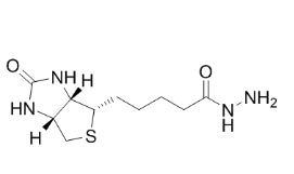 66640-86-6，Biotin hydrazide HCl，生物素酰肼