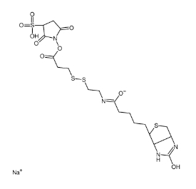 CAS:325143-98-4/Biotin-SS-Sulfo-NHS ester/磺酸基活性酯二硫生