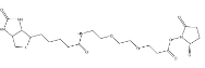 596820-83-6 9-BiotinlaMino-4,7-dioxanonanoic acid N-hydroxysucciniMidyl ester 9-(生物素氨基)-4,7-二氧杂壬酸N-琥珀酰亚胺酯
