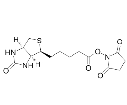 CAS號(hào):35013-72-0；Biotin-NHS Ester；生物素-活化脂、生物素化試劑