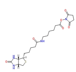 72040-63-2；生物素化-epsilon-氨基己酸-N-羥基丁二酰亞胺活化酯；Succinimidyl 6-(biotinamido)hexanoate	