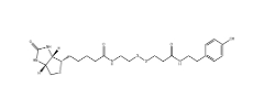 CAS： 678975-20-7；Biotin-SS-Tyramide