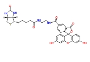 1032732-74-3 Biotin-4-fluorescein 生物素-4-荧光素