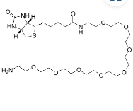 (+)-Biotin-PEG8-amine  2183447-27-8  生物素八聚乙二醇氨基