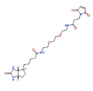 Biotin-PEG2-MAL  305372-39-8  生物素二聚乙二醇马来酰亚胺