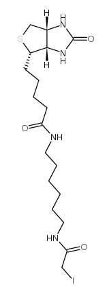 Iodoacetyl-LC-biotin；N-生物素-N'-(碘乙酰基)-1,6-己二胺