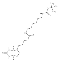 153162-70-0；N-Boc-6-Biotinamidohexylamine；N-BOC-6-生物素酰氨基己胺	