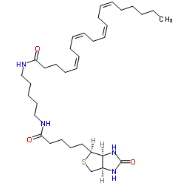 Arachidonic Acid-biotin，cas:1217901-28-4，花生四烯酸-生物素