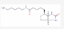 CAS:115416-38-1，5-（生物素酰胺基）戊胺，5-(Biotinamido)pentylamine