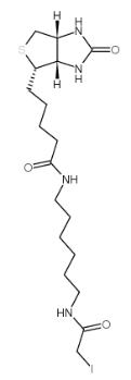 CAS No. : 93285-75-7 ，Iodoacetyl-LC-biotin ，一种生物素化的亲电子探针