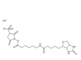 Sulfo-NHS-LC-Biotin sodium  